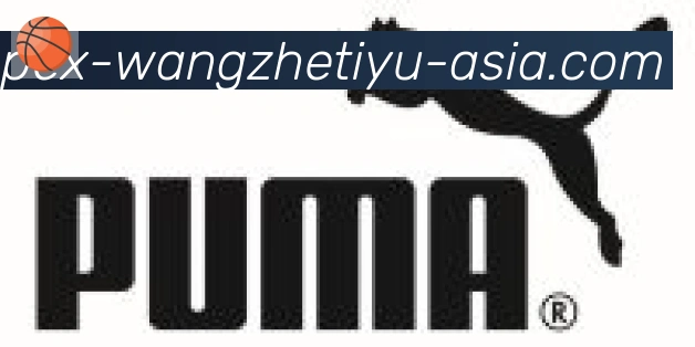 王者体育直播合作伙伴